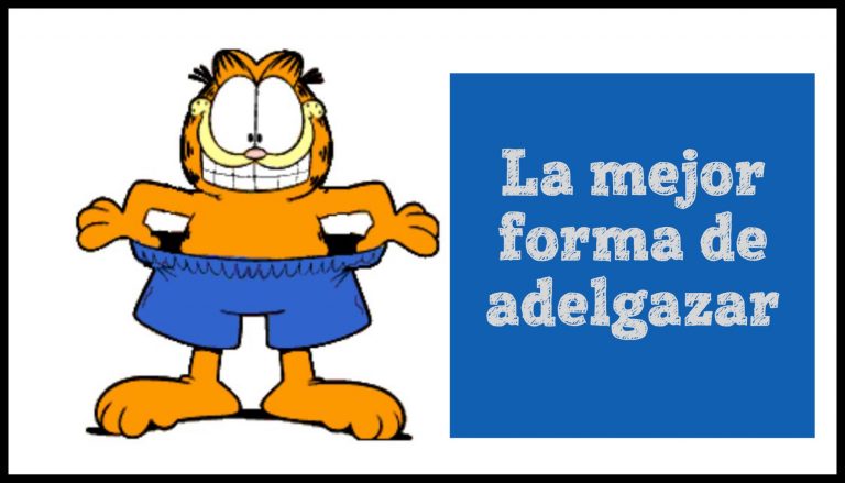 la mejor forma de adelgazar